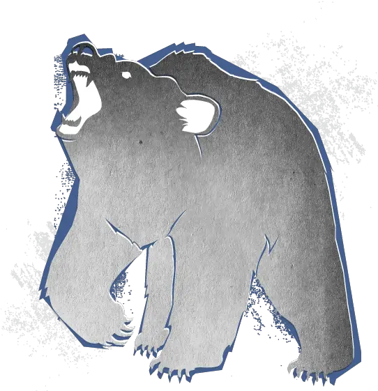  Download Spirit Bear Grizzly Bear Png Spirit Png