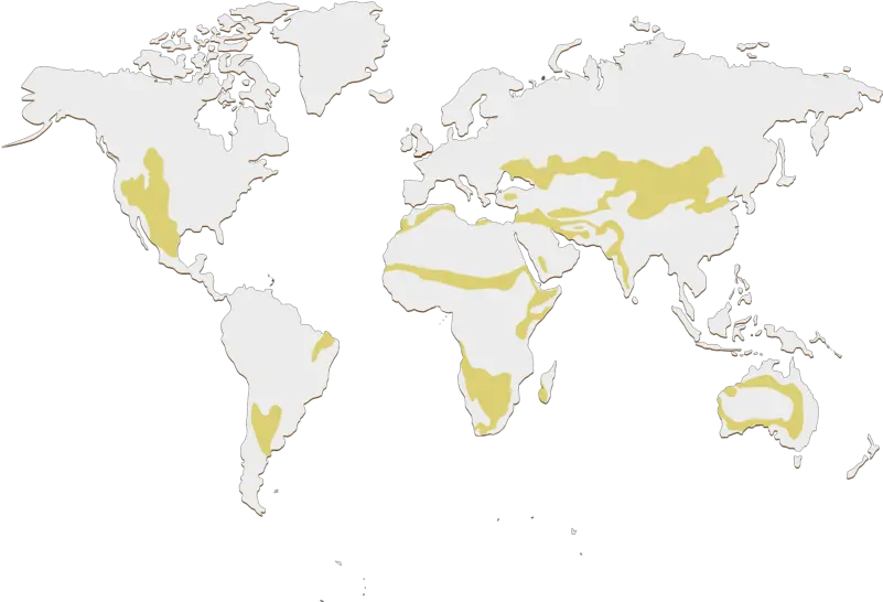  Filedistribucion Tropical Secopng Wikimedia Commons Tropical Png