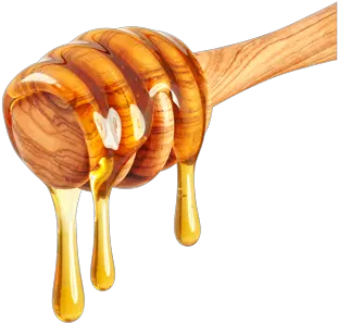  Honey Spoon Png 3 Image Honey And Lemon Honey Transparent