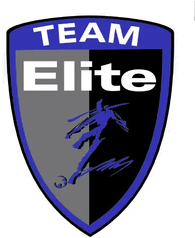  Team Elite Logo Automotive Decal Png Bullet Club Logos