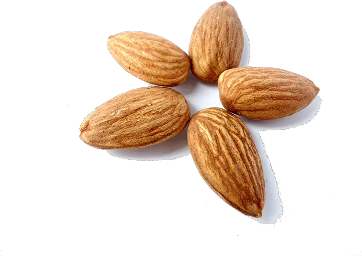  Almond Milk Nut Peel Eating Peeled Almonds Png Download Almond Nut Paint Nuts Png