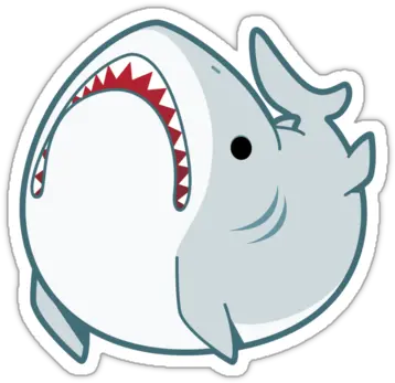  Derpy Great White Shark Sticker With Images Hydroflask Derpy Shark Png Shark Transparent