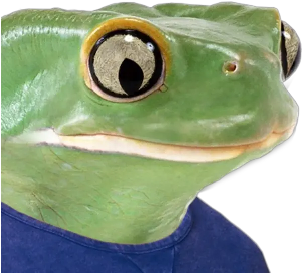  Been Hoarding Sad Frog Pepe Images For A Year This Is Pepe Frog Real Meme Png Pepe Frog Png