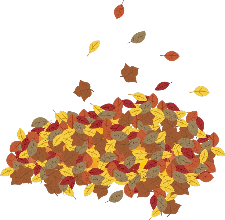  Graphic Leaf Leaves Free Vector Graphic On Pixabay Autumn Leaves Pile Png Thanksgiving Leaves Png