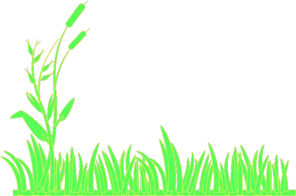  Free Grasses Cliparts Download Clip Art Keine Der Garten Notizbuch A5 120 Blanko Seiten In Weiß Für Gärtner Und Landschaftsgärtner Png Grass Clipart Png