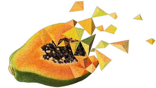  Papaya Png Superfood Papaya Png