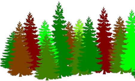  Pine Tree Line Vector Pine Trees Silhouette Png Tree Line Png