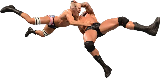  Randy Orton Rko Png Image Wwe Randy Orton Rko Png Randy Orton Png