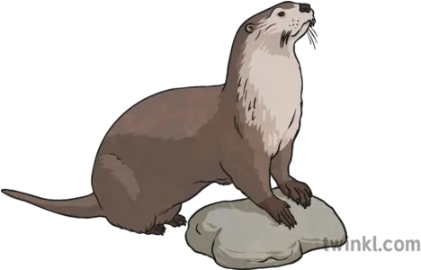  Japanese River Otter Illustration North American River Otter Png Otter Png