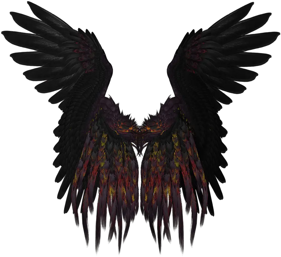  Short Black And Purple Wings Transparent Png Stickpng Fantasy Wings Png Wing Png