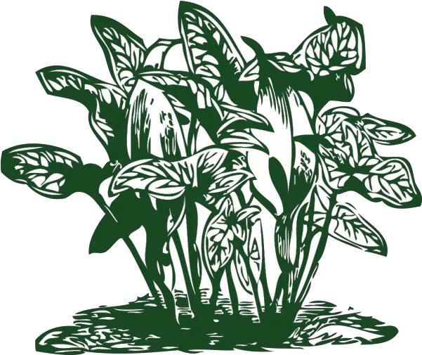  Tropical Plants Png Svg Clip Art For Vegetation Clipart Plant Icon Image Clip Art