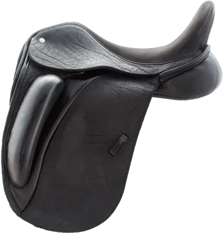  Everest R Custom Everest R Png Used Custom Icon Flight Dressage Saddle