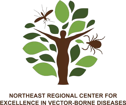  Nevbd Northeast Regional Center For Excellence In Vector Northeast Regional Center For Excellence In Vector Borne Diseases Png Tick Vector Icon