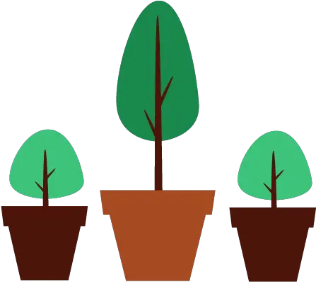  Download Hd Potted Plants Clipart Maturity Shrub Tree Pot Png Clipart Shrub Png