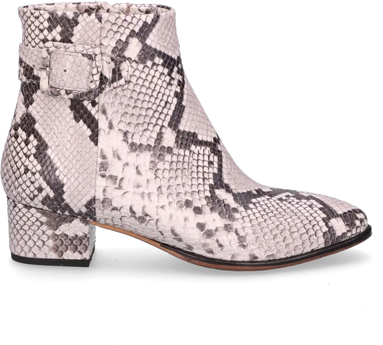  Ankle Boot Snake Print Off White Round Toe Png Boot Print Png