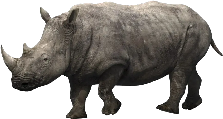  Rhino Png Images Download