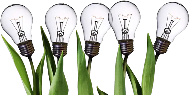  Download Innovation Png Hq Image Freepngimg Innovation Bulb Transparent Background Lightbulb Transparent Background