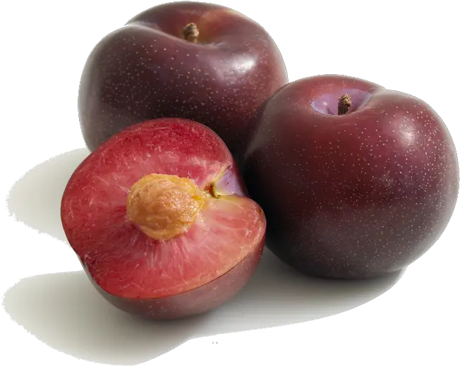  Download Plum Png Pic 1 Types Of Plums Plum Png