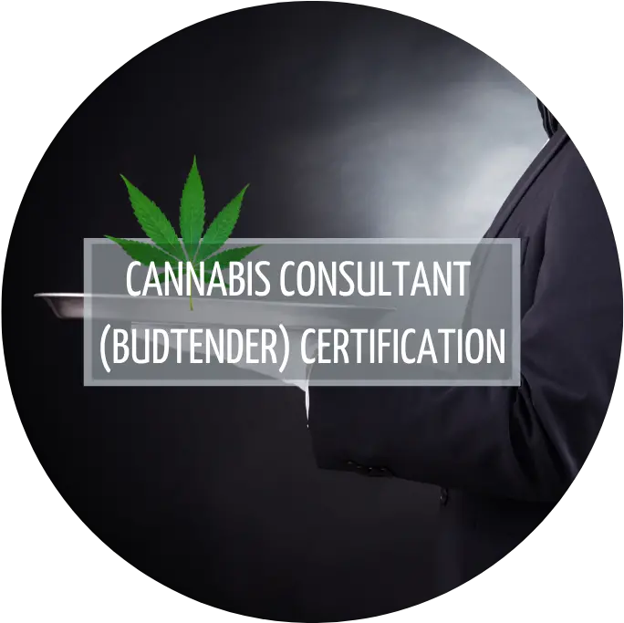  Budtender Course And Bundle Language Png Marijuana Bud Icon