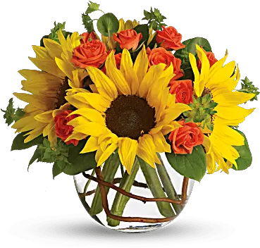  Sunny Sunflowers U2014 Blessings Floral Design Flower Arrangements With Contrast Png Sunflowers Transparent