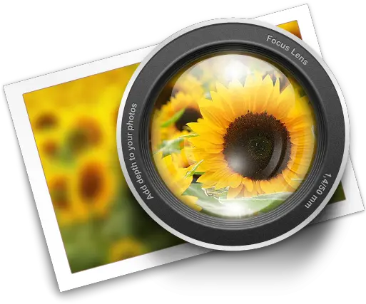  Focus By Trysoda Common Sunflower Png Focus Icon