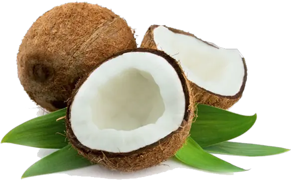  Download Virgin Coconut Oil Vitamin E And Coconut Oil For Hair Png Coconut Png