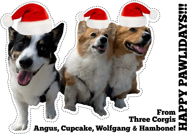  Three Corgis Official Blog Costume Hat Png Corgi Transparent