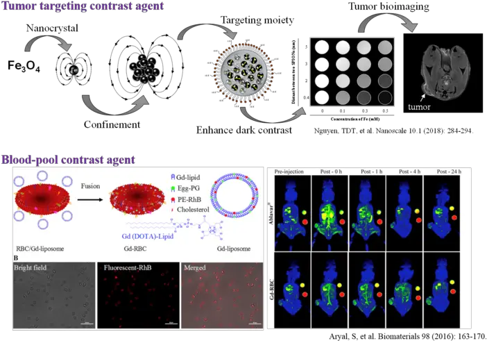  Research Screenshot Png Blood Pool Png