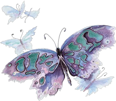  Butterfly Butterfly Png Watercolor Butterfly Png