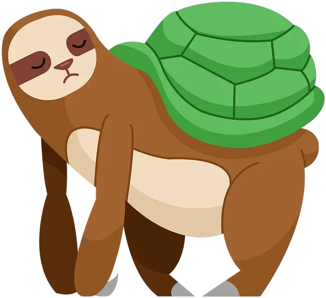  Sloth Turtle Shell Cartoon Free Image On Pixabay Turtle And Sloth Png Turtle Shell Icon