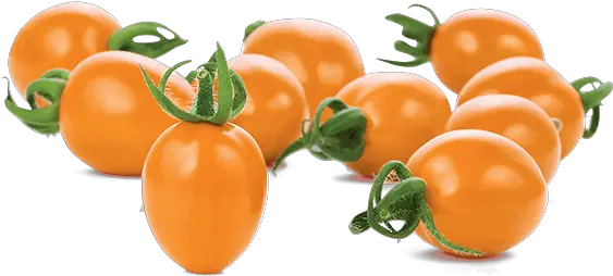  Mucci Farms Cherry Tomatoes Png Tomato Transparent