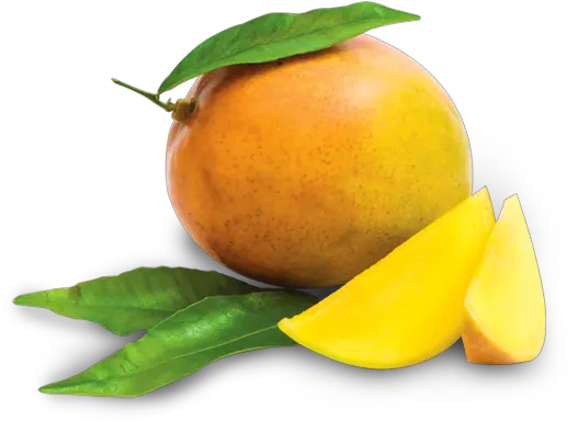  Mango Fruit Png Clipart Free Download Free Mango Lichi Mango Png