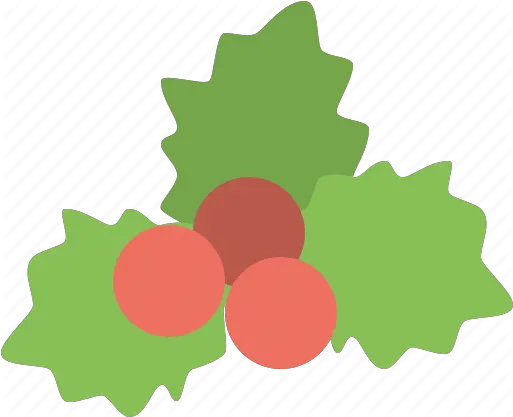  Mistletoe Celebration Christmas Decoration Holiday Ornament Xmas Icon Download On Iconfinder Holly Png Mistletoe Transparent