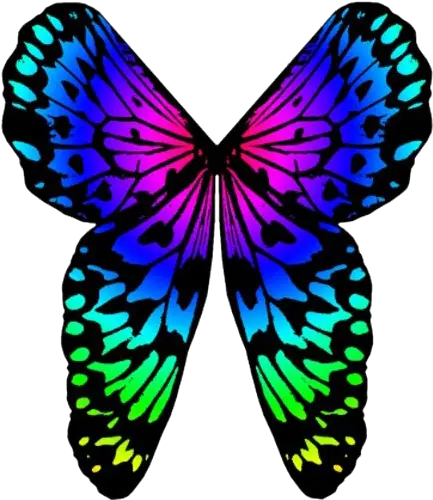  Rainbow Butterfly Png Image Background Arts Colorful Butterfly Wings Png Colorful Butterfly Icon