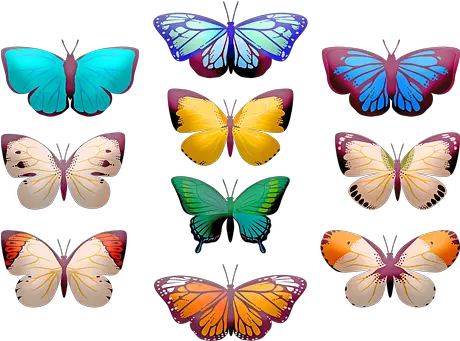  1000 Free Orange Butterfly U0026 Images Pixabay Clip Art Butterfly Png Butterflies Transparent