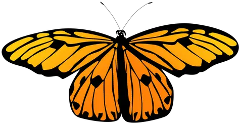  Small Orange Butterfly Vector Transparent Png U0026 Svg Vector Monarch Butterfly Aesthetic Painting Butterfly Vector Png