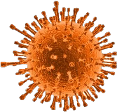  Png Virus Orange Virus Png Virus Transparent