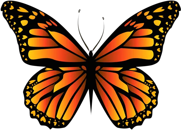  Orange Butterfly Png Clipar Image Clip Art Orange Butterfly Clipart Butterfly Png Images