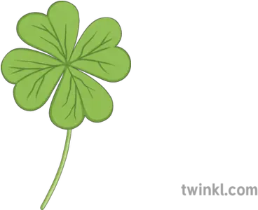  4 Leaf Clover Pshe Debate Saint Patricks Day Irish Ireland Shamrock Png Four Leaf Clover Png