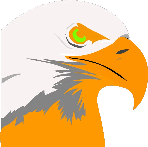  Eagles Png Orange Eagle Eagles Png