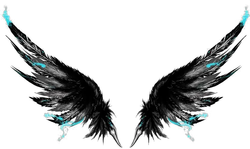  Black Wings Png Picture Got Broken Wings But I M Still Flying Wing Png