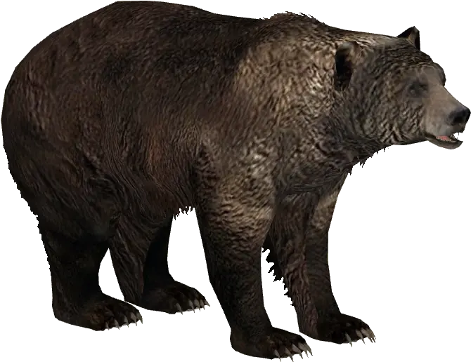  Ice Age Pack Zoo Tycoon 2 Bear Png Zoo Tycoon 2 Icon