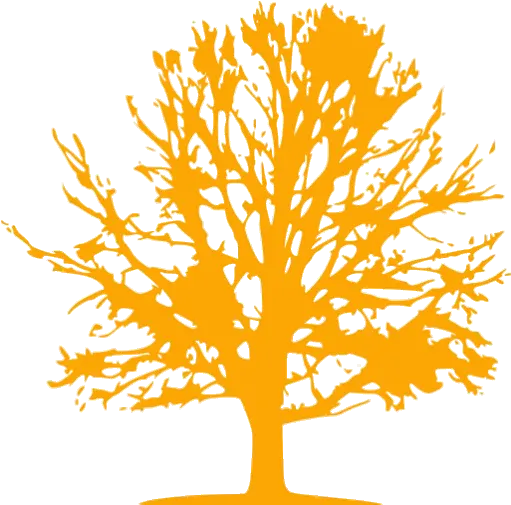  Orange Tree Icon Free Orange Tree Icons Everyone Shall Sit Under Their Own Vine Png Fruit Tree Icon