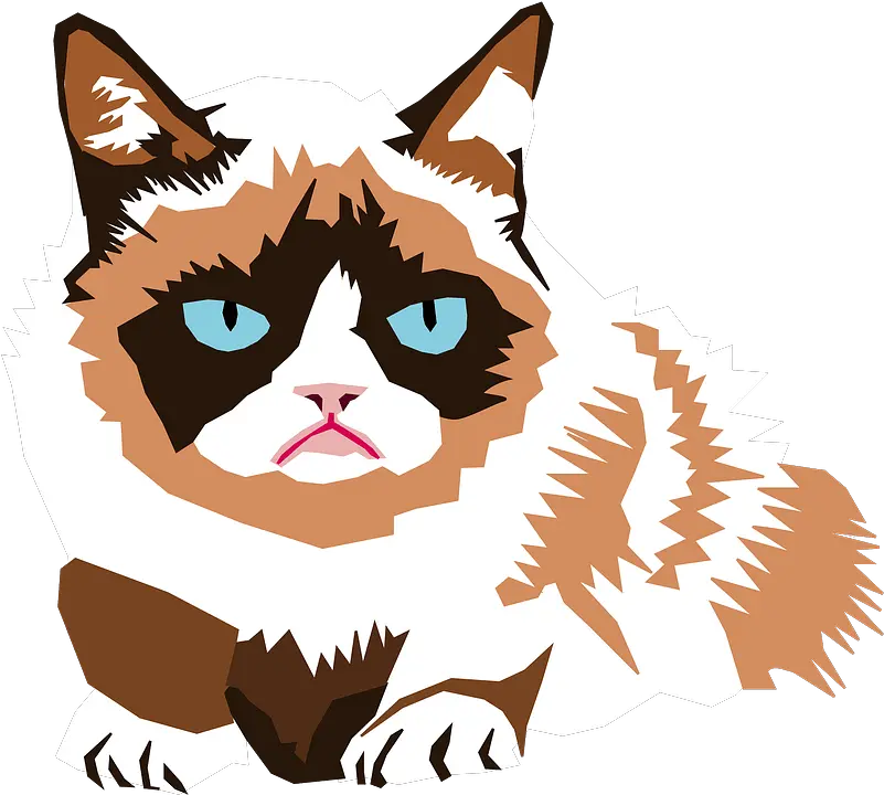  Grumpy Cat Clipart Free Download Transparent Png Creazilla Financial Independence Meme Grumpy Png