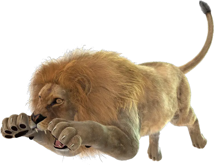  Pin Lion Attack White Background Png Lion Transparent Background