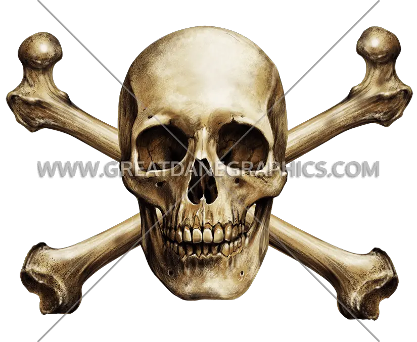  Skull Cross Bones Skull And Bones Realistic Png Skull And Bones Png