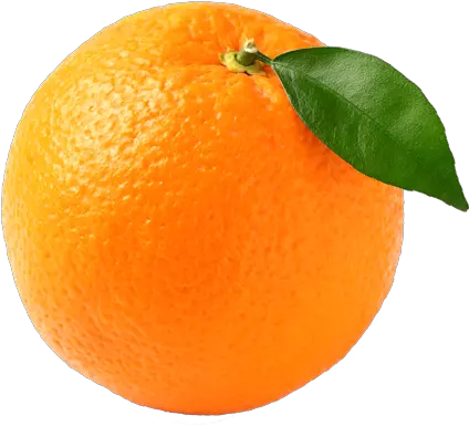  Fresh Orange Fresh Orange Fruit Png Fruit Transparent