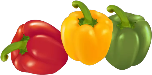  Pepper Png Image Free Download Vegetables Png Images Free Download Pepper Png