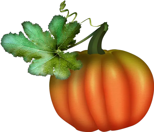  Tube Automne Citrouille Png Courge Pumpkin Clipart Pumpkin Pumpkin Clipart Png