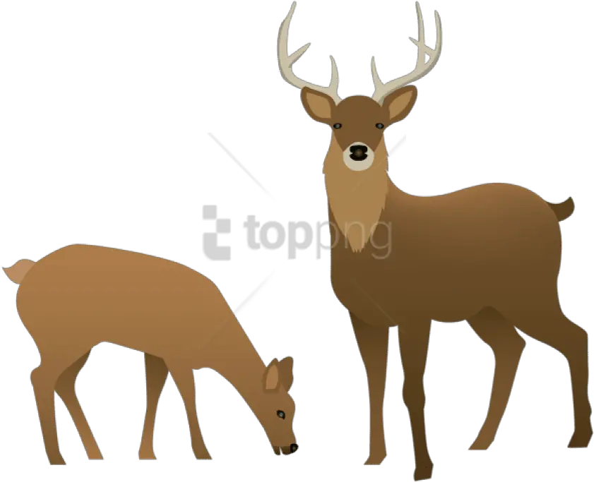  Png Stag And Doe Images Transparent Deer Clip Art Transparent Deer Transparent Background